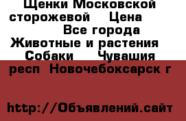 Щенки Московской сторожевой  › Цена ­ 25 000 - Все города Животные и растения » Собаки   . Чувашия респ.,Новочебоксарск г.